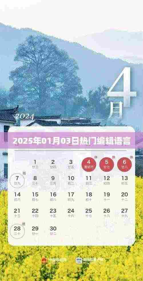 热门编辑语言趋势展望,2025年1月市场分析