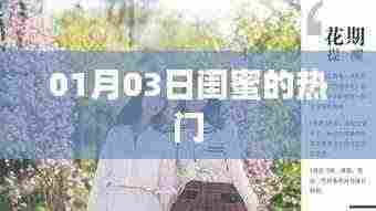 闺蜜热门话题,01月03日最新动态