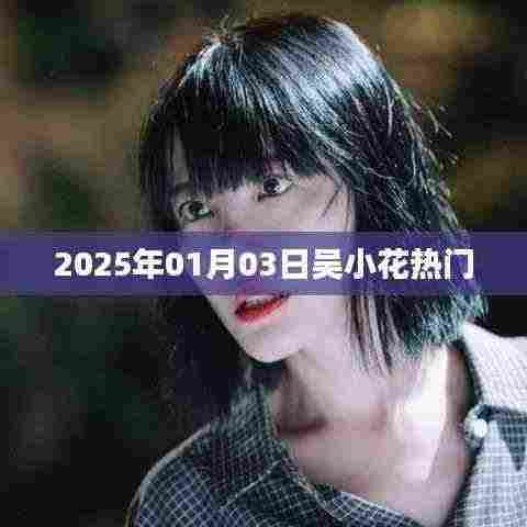 吴小花,2025年1月3日掀起热潮