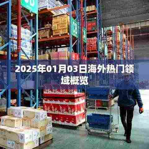 海外热门领域概览(2025年1月3日)