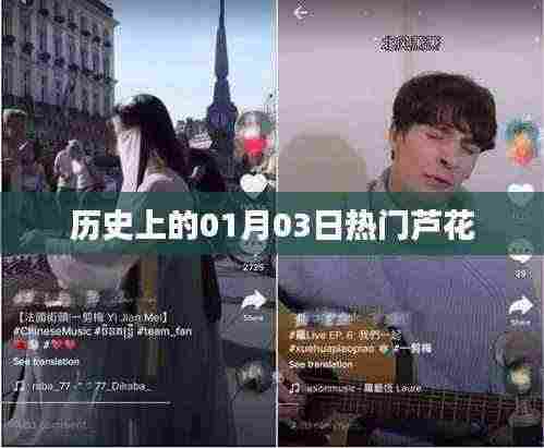 芦花,历史上的那些日子,一月三日热门事件回顾