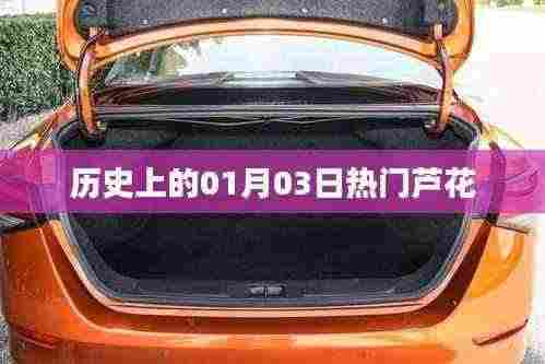 芦花，历史上的那些日子，一月三日热门事件回顾