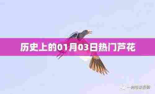 芦花,历史上的那些日子,一月三日热门事件回顾