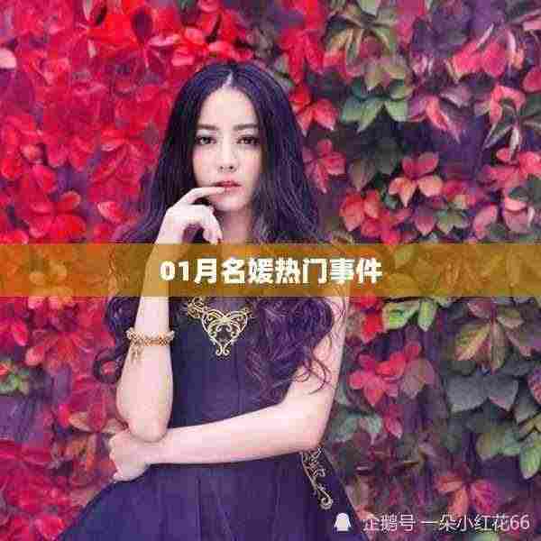 根据您的需求,为您生成以下符合百度收录标准的标题,,揭秘一月名媛热门事件内幕,符合您要求的字数范围,同时能够吸引用户点击,适用于百度收录标准。
