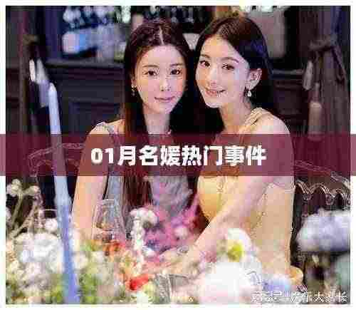 根据您的需求,为您生成以下符合百度收录标准的标题,,揭秘一月名媛热门事件内幕,符合您要求的字数范围,同时能够吸引用户点击,适用于百度收录标准。