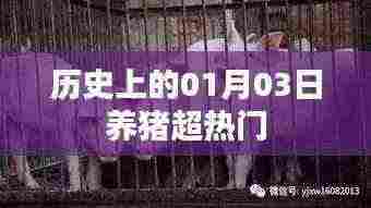养猪行业历史上的重要日子,一月三日超热门事件回顾