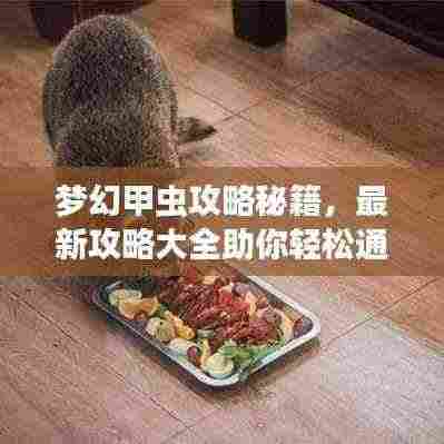 梦幻甲虫攻略秘籍,最新攻略大全助你轻松通关!