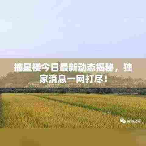 摘星楼今日最新动态揭秘,独家消息一网打尽!