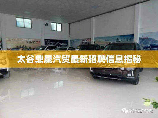 太谷鼎晟汽贸最新招聘信息揭秘