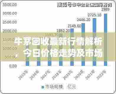 牛茅回收最新行情解析，今日价格走势及市场影响因素探讨