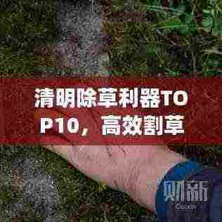 清明除草利器TOP10,高效割草神器大比拼