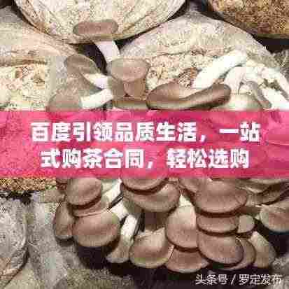 百度引领品质生活,一站式购茶合同,轻松选购优质茶叶