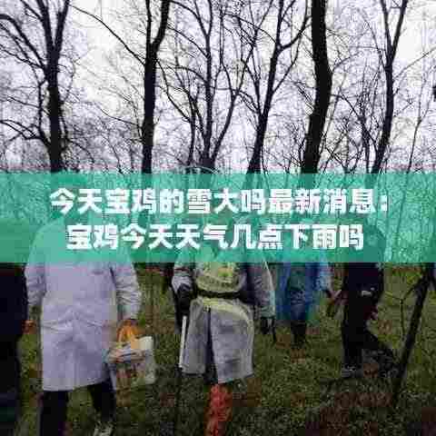 今天宝鸡的雪大吗最新消息:宝鸡今天天气几点下雨吗