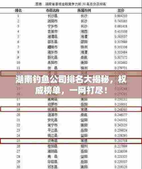 湖南钓鱼公司排名大揭秘,权威榜单,一网打尽!