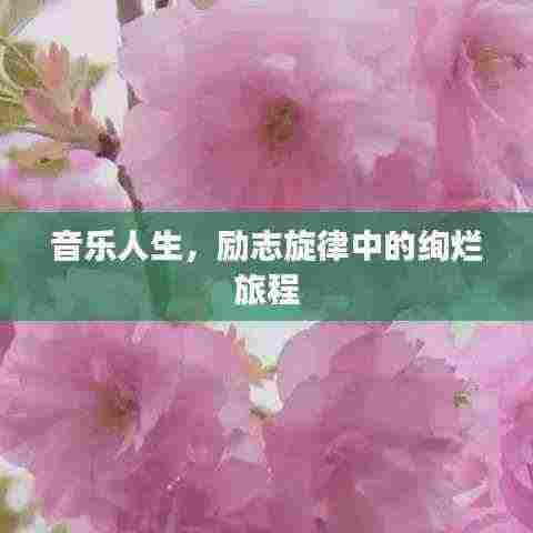 音乐人生,励志旋律中的绚烂旅程