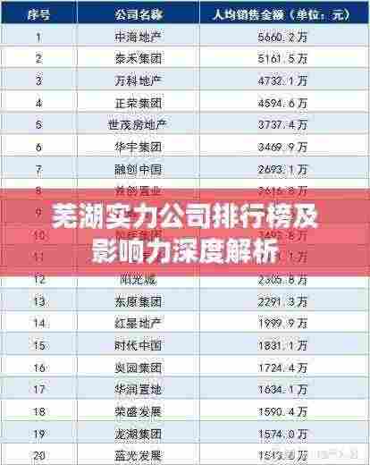 芜湖实力公司排行榜及影响力深度解析