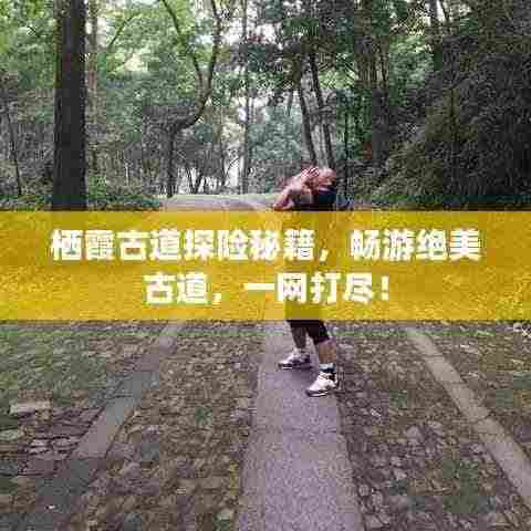 栖霞古道探险秘籍,畅游绝美古道,一网打尽!