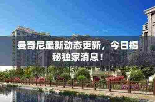 曼奇尼最新动态更新,今日揭秘独家消息!