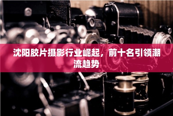 沈阳胶片摄影行业崛起,前十名引领潮流趋势