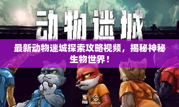 最新动物迷城探索攻略视频,揭秘神秘生物世界!
