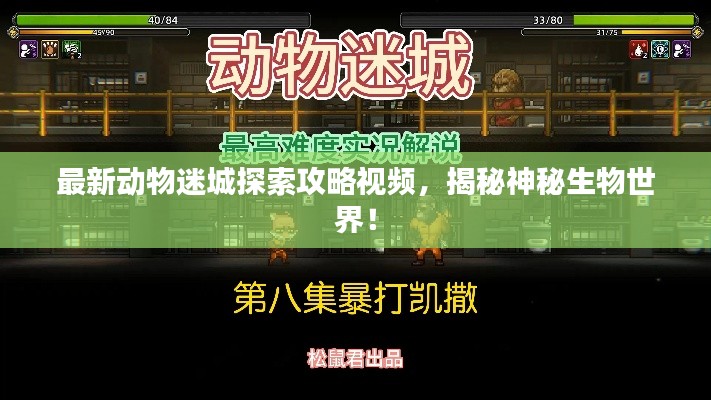 最新动物迷城探索攻略视频,揭秘神秘生物世界!