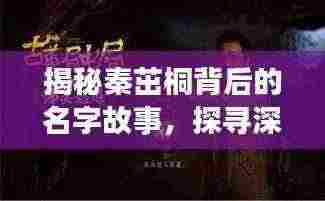 揭秘秦茁桐背后的名字故事,探寻深意与由来