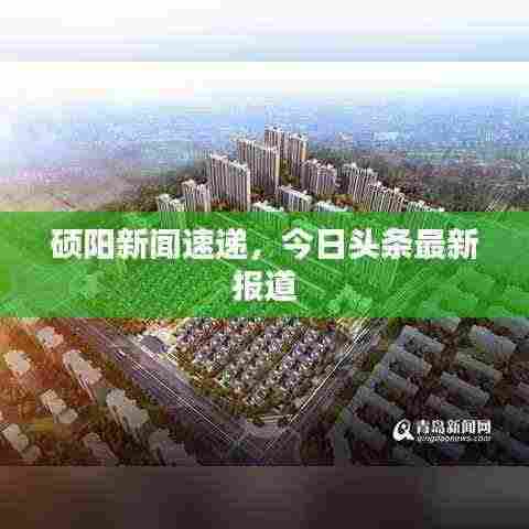 硕阳新闻速递，今日头条最新报道