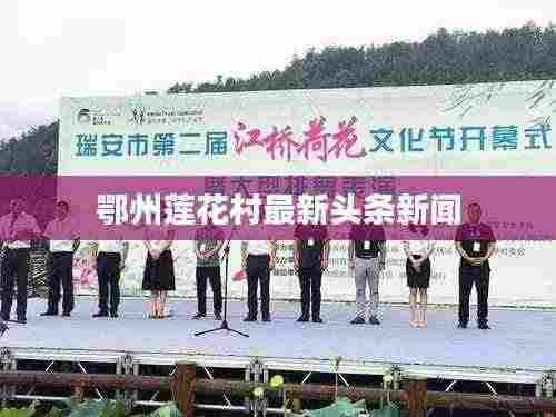 鄂州莲花村最新头条新闻