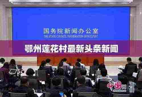 鄂州莲花村最新头条新闻