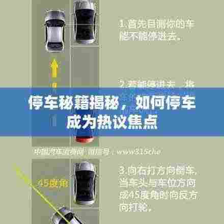 停车秘籍揭秘,如何停车成为热议焦点