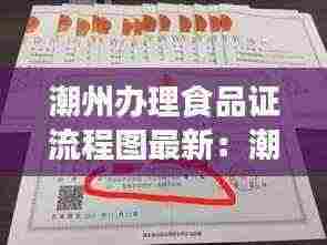 潮州办理食品证流程图最新：潮州市食品经营许可证 
