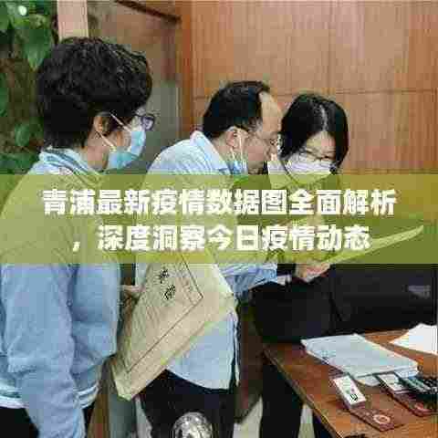 青浦最新疫情数据图全面解析,深度洞察今日疫情动态
