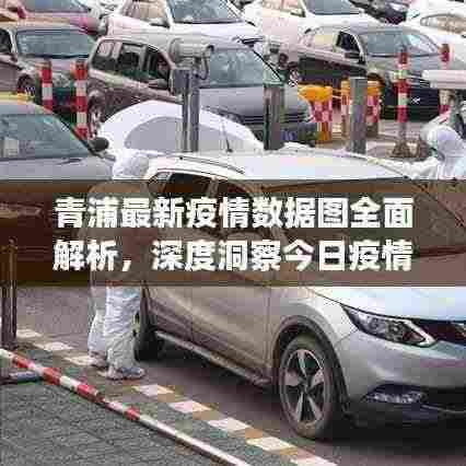 青浦最新疫情数据图全面解析,深度洞察今日疫情动态