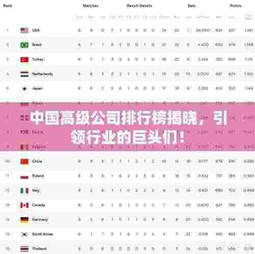 中国高级公司排行榜揭晓,引领行业的巨头们!