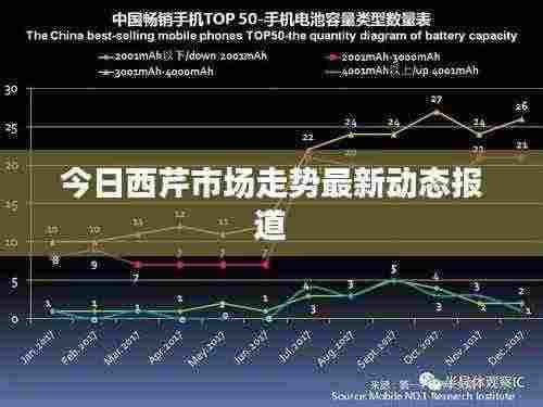今日西芹市场走势最新动态报道
