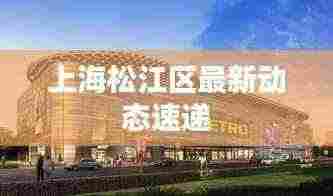 上海松江区最新动态速递