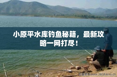 小原平水库钓鱼秘籍,最新攻略一网打尽!