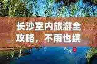 张灯结彩 第3页