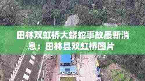 田林双虹桥大蟒蛇事故最新消息:田林县双虹桥图片