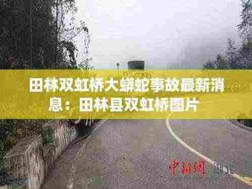 田林双虹桥大蟒蛇事故最新消息:田林县双虹桥图片