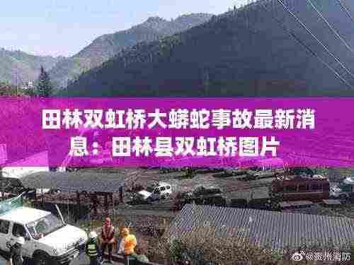 田林双虹桥大蟒蛇事故最新消息:田林县双虹桥图片