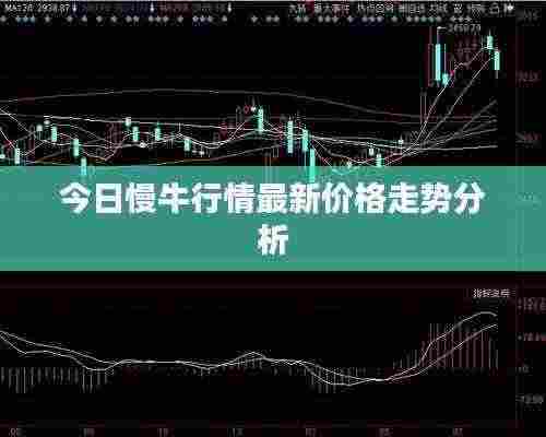 今日慢牛行情最新价格走势分析