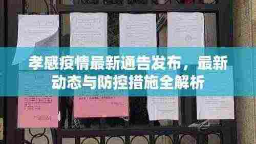 孝感疫情最新通告发布,最新动态与防控措施全解析