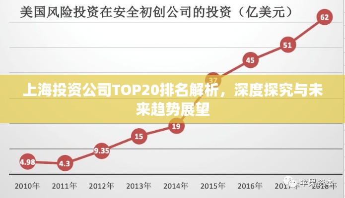 上海投资公司TOP20排名解析,深度探究与未来趋势展望