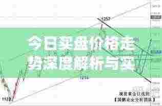 今日买盘价格走势深度解析与实时观察