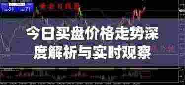 今日买盘价格走势深度解析与实时观察