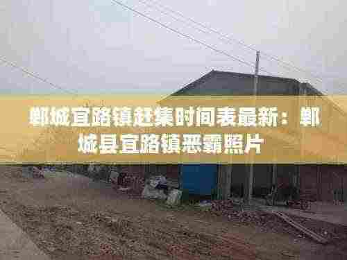 郸城宜路镇赶集时间表最新:郸城县宜路镇恶霸照片