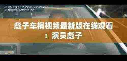 彪子车祸视频最新版在线观看:演员彪子