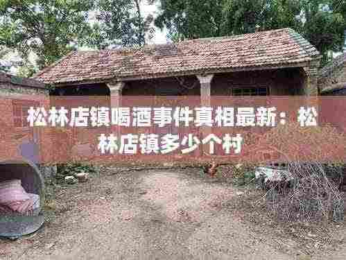 松林店镇喝酒事件真相最新：松林店镇多少个村 