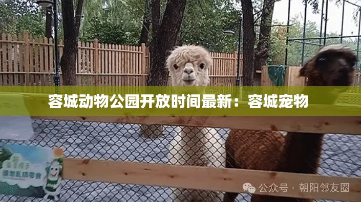 容城动物公园开放时间最新:容城宠物